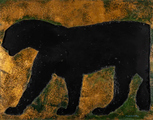 Felino nero