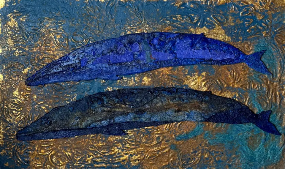 Balene nel mare